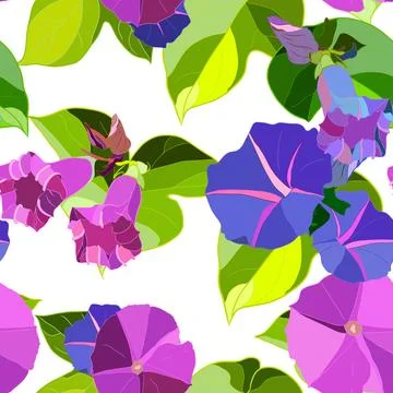 Morning Glory Seamless Repeating Pattern Illustrazione stock