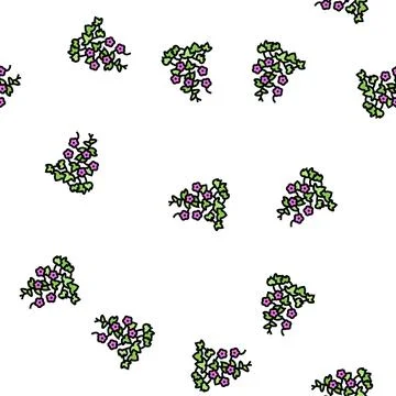 Morning glory vector seamless pattern Stock Illustration