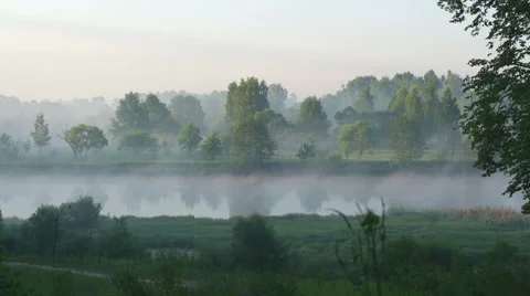 Morning haze on a river Stock Footage 64656305
