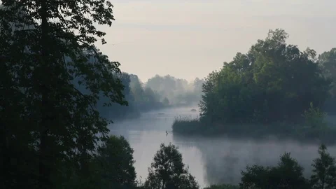 Morning haze on a river Stock-Footage 70363506