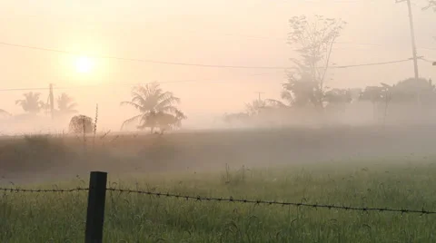 Morning HD Stock Footage 35008196