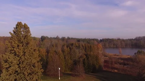 Morning horizon of a forest beside a lake aerial Stock Footage