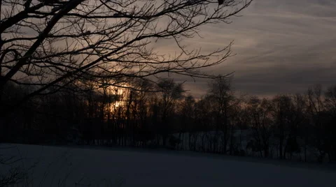 Morning Ice on the Tree Branches Time Lapse Stock Footage 61035206