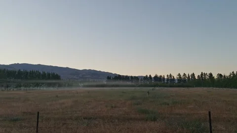 Morning irrigation in cherry orchard, Central Otago, New Zealand. Stock Footage 342003456