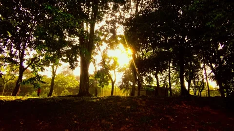 Morning jogging Stock Footage 316276466