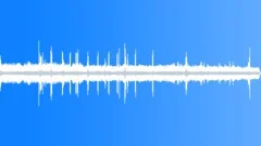 Morning jungle ambiance Sound Effect