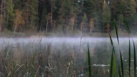 Morning lake Stock Footage 287604575
