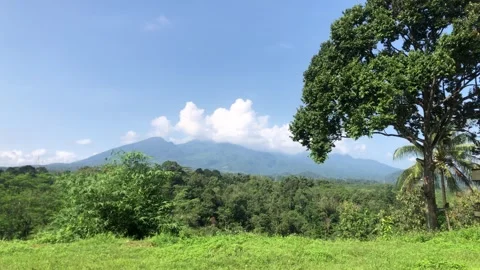 Morning landscape Stock Footage 240640238