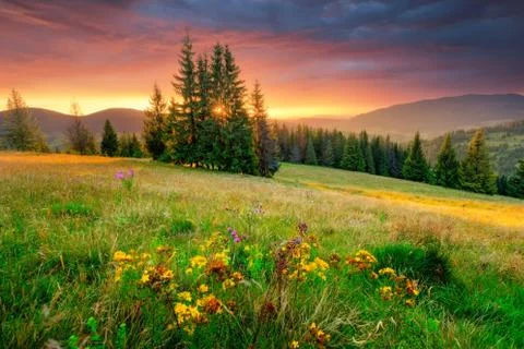 Morning landscape Stock Photos