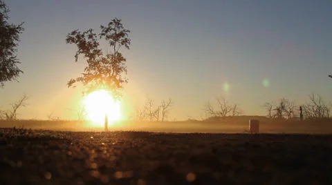 Morning Light 2 loop 動画素材 30944589