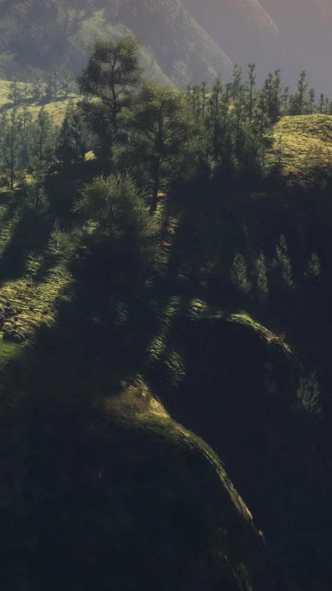 Morning light casts long shadows across the hill and forest area 動画素材 346874009