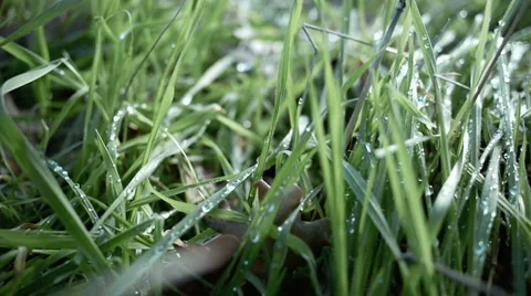 Morning light. Stock Footage 938443