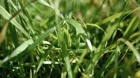 Morning light. Stock Footage 938475