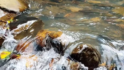 Morning Light Over a Tropical Stream - 4K Static Tripod Shot Stock Footage 327627956