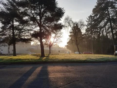 Morning light Stock Photos