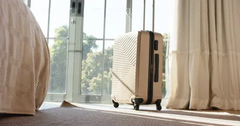 Morning light streaming through glass doors making suitcase handle extending Stock Footage 314045513
