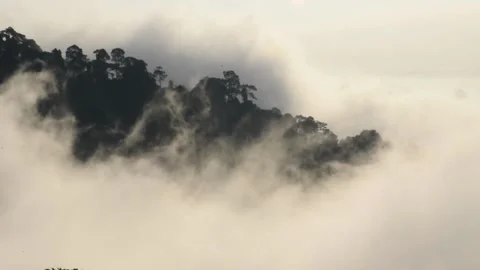 Morning mist covered the beautiful mountains Stock Footage 136497953