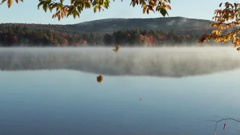 Morning mist on a fall day 스톡 동영상 73569062