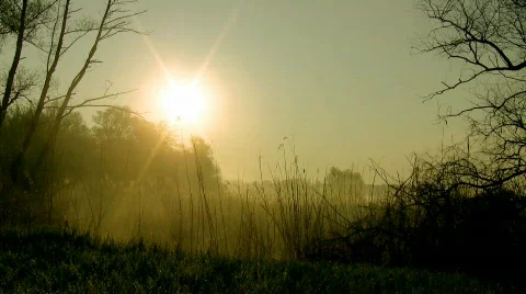Morning mist Stock-Footage 397955