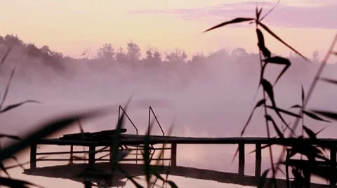 Morning mist 스톡 동영상 8766686