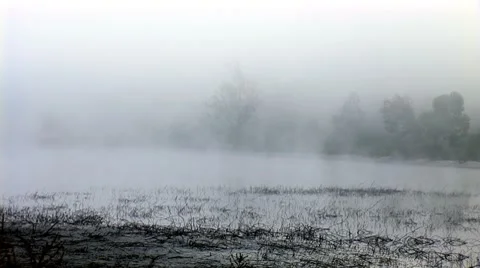 Morning mist Stock Footage 8795531