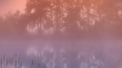 Morning mist Video stock 28382626