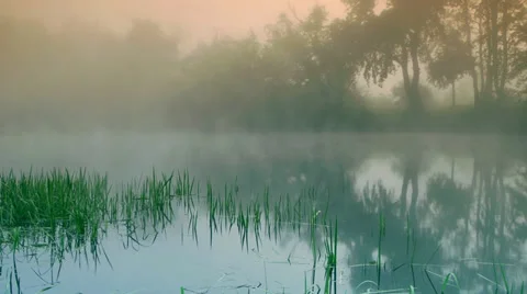 Morning mist Stock-Footage 28388757