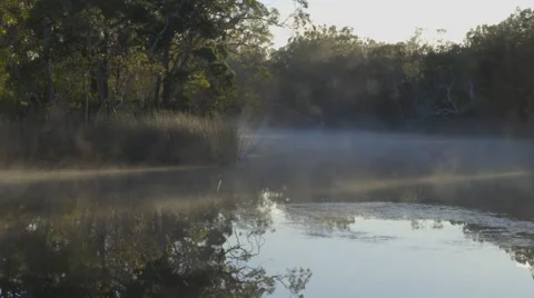 MORNING MIST Stockbeeldmateriaal 63210762