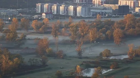 Morning mist Stock Footage 82044191