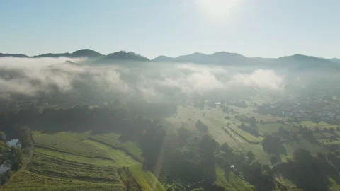 Morning mist 스톡 동영상 150193442