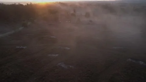 Morning mist forest Stock Footage 171869578