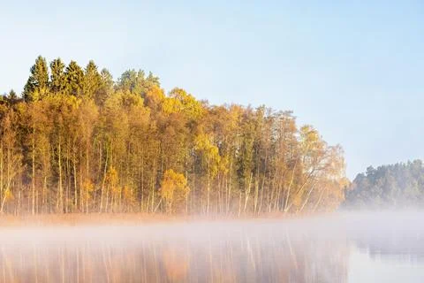 Morning mist at a lake with deciduous tree grove in autumn colors Sweden Europe Stock Photos