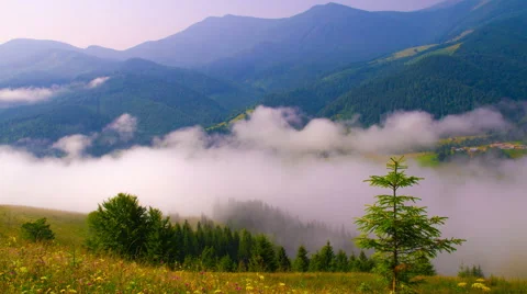 Morning Mist in Mountans. Stock Footage 65993369