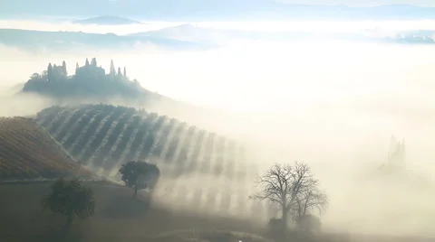 Morning Mist over the Fields and Vineyards Stock Footage 64342702
