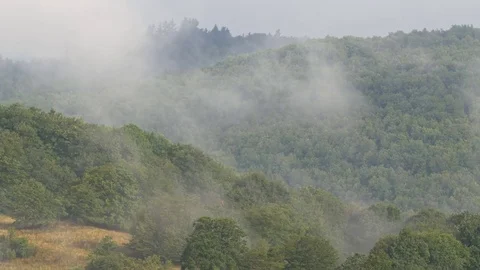 Morning mist rising from the forest 库存影片 79085965