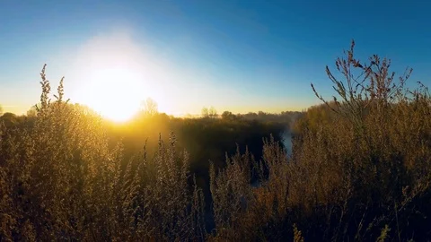 Morning mist on the river Stock Footage 97299092
