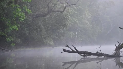Morning Mist on a river  Stock Footage 230214072