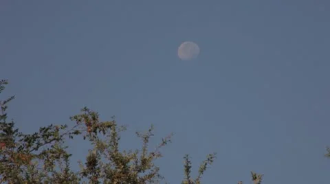 Morning Moon Stock Footage 8962972