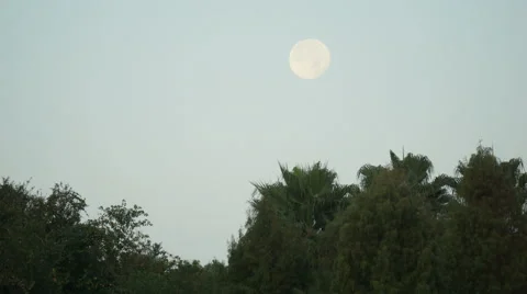 Morning Moon Stock Footage 58599552