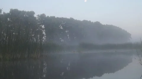 Morning, motion 動画素材 41008054