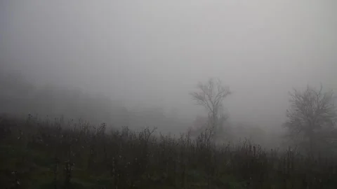 Morning mountain mist Stock Footage 245318475