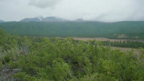 Morning in the mountains Stock Footage 163841562