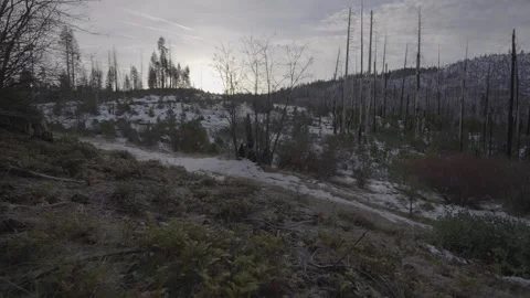 Morning in the mountains Stock Footage 263836685