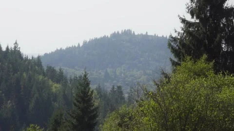 Morning in the mountains Stock Footage 302885223