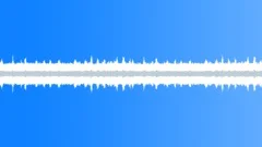 Morning Noisy River, Birds, Light Breeze - ambient, background loop Sound Effect