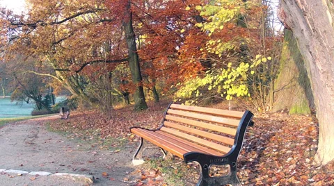Morning in the park Brussels. Stock Footage 33452749