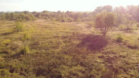 Morning park Stock Footage 147152695