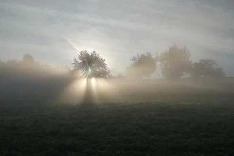 Morning Stock Photos