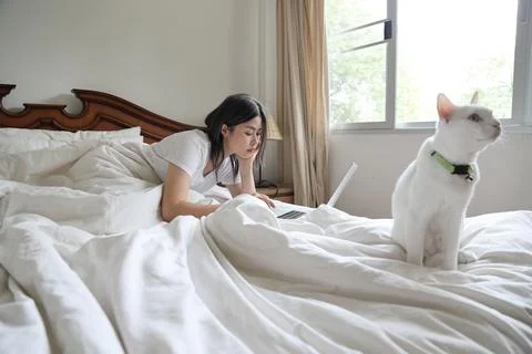 In The Morning Stock Photos