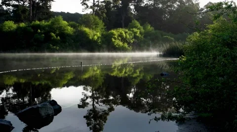 Morning Pond Stock Footage 48945292